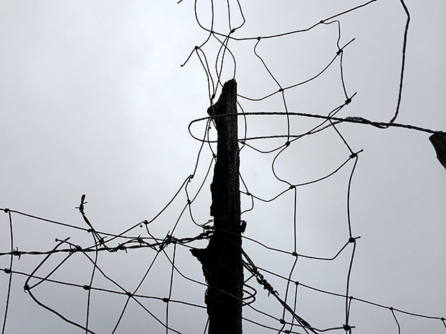 photograph by Andrew Robinson
